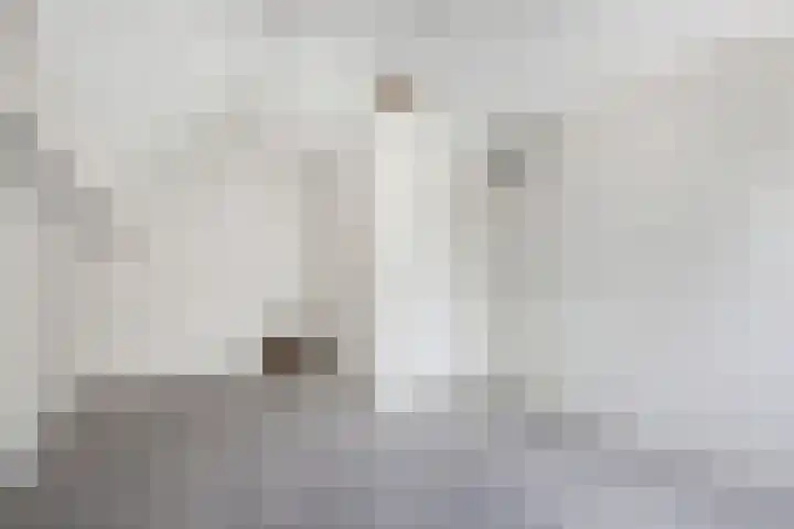 De Terp 12 Winsum thumbnail 27