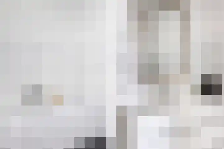 De Terp 12 Winsum thumbnail 28