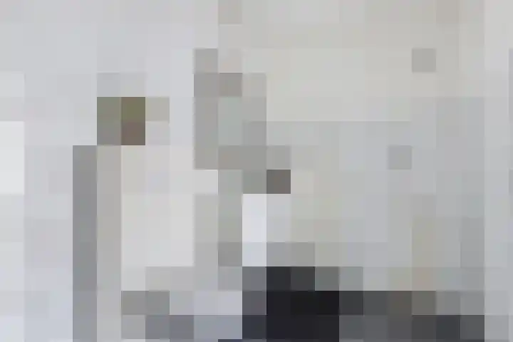 De Terp 12 Winsum thumbnail 29