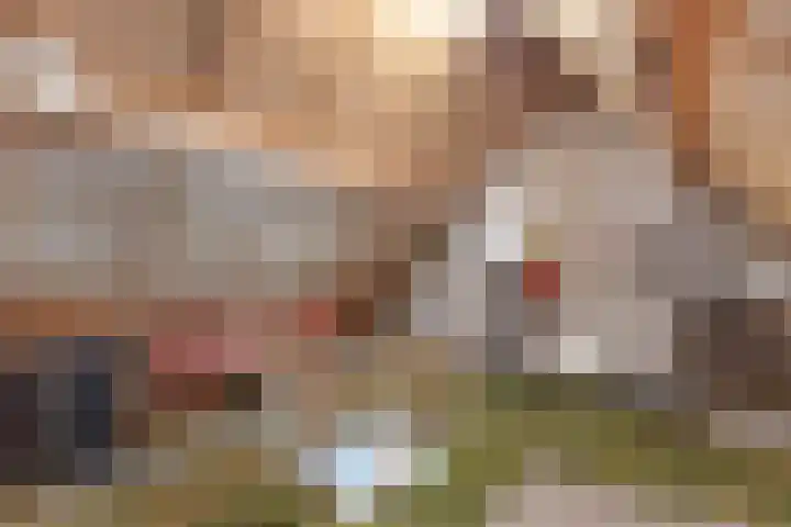 De Terp 12 Winsum thumbnail 30