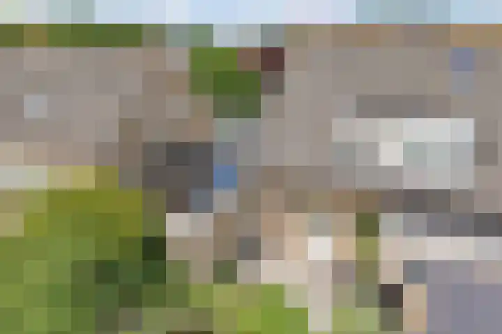 De Terp 12 Winsum thumbnail 32