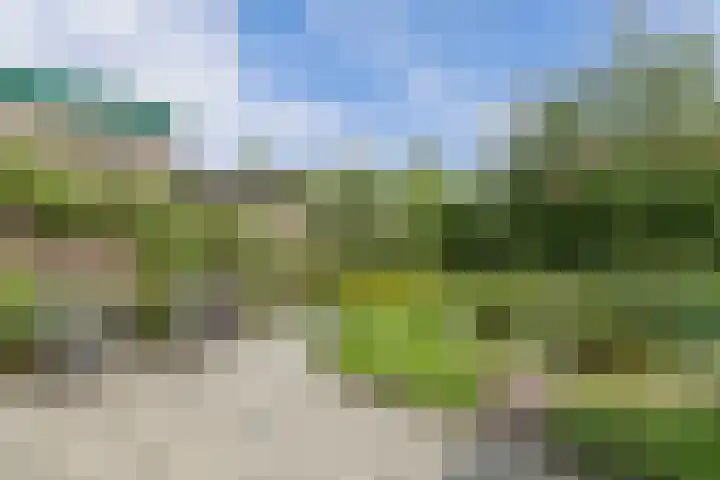 De Terp 12 Winsum thumbnail 34