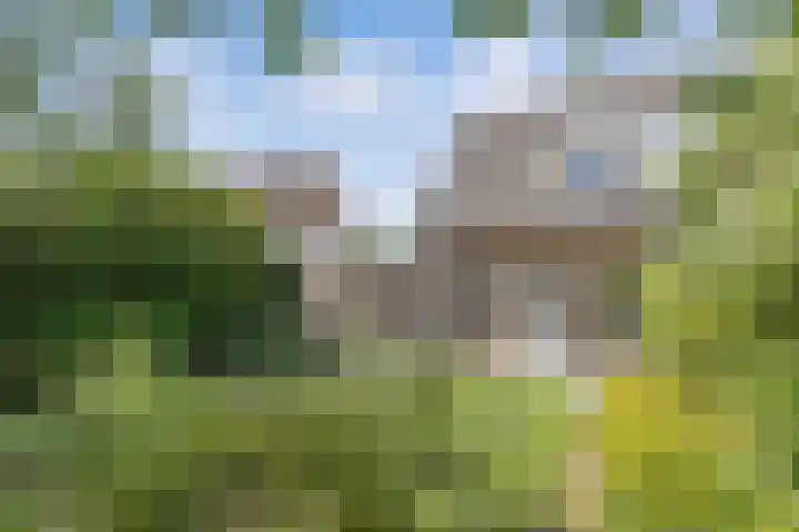 De Terp 12 Winsum thumbnail 35