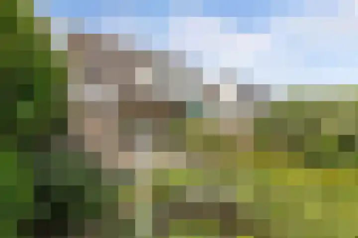 De Terp 12 Winsum thumbnail 36