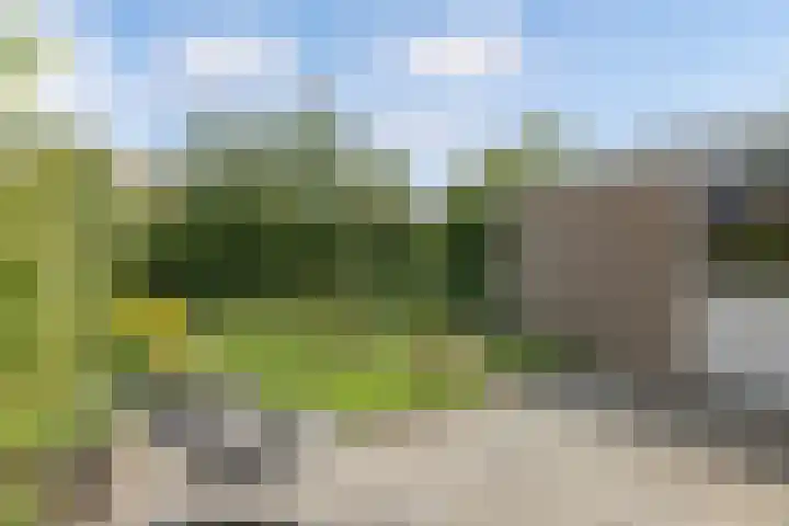 De Terp 12 Winsum thumbnail 4
