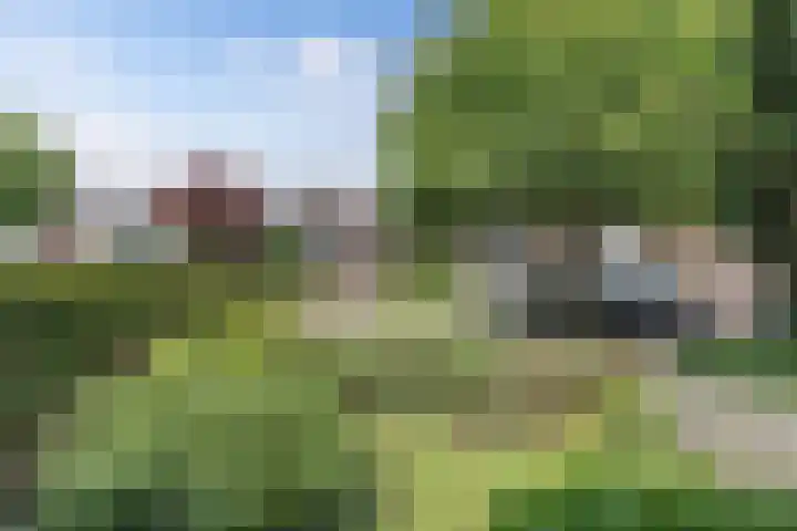 De Terp 12 Winsum thumbnail 40
