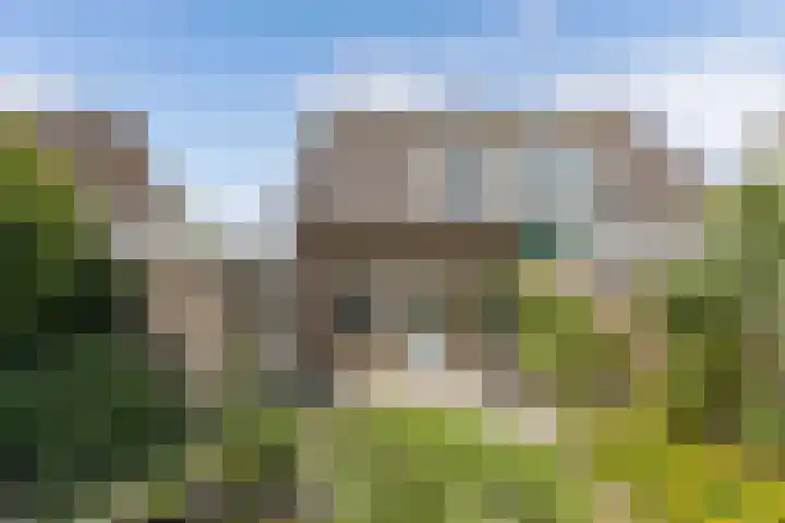 De Terp 12 Winsum thumbnail 5