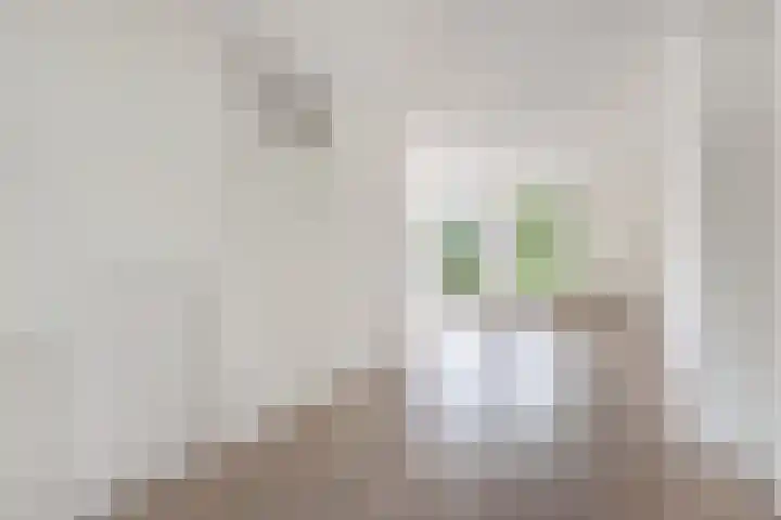 De Terp 12 Winsum thumbnail 8