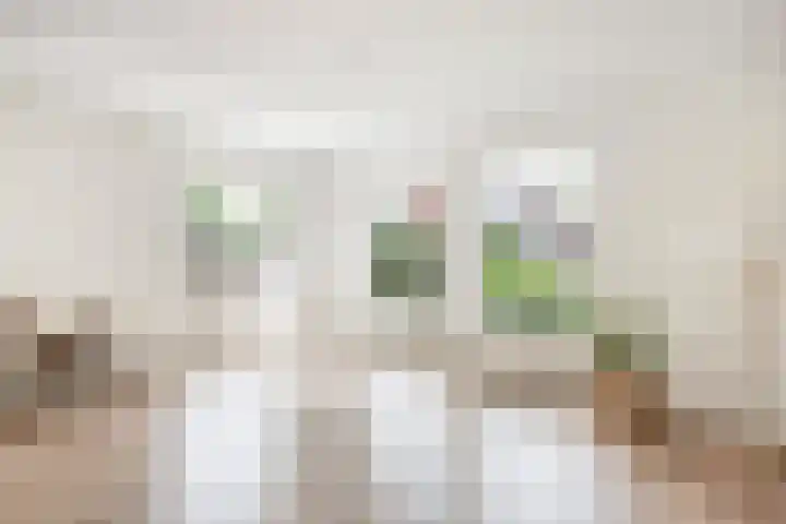 De Terp 12 Winsum thumbnail 9