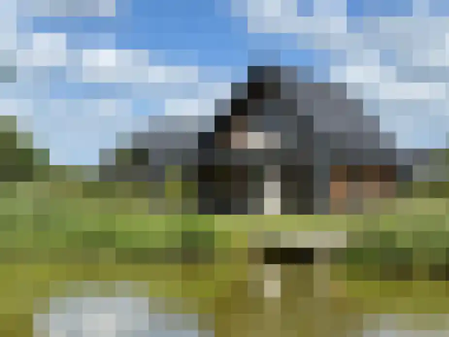De Terp 23 in Witmarsum
