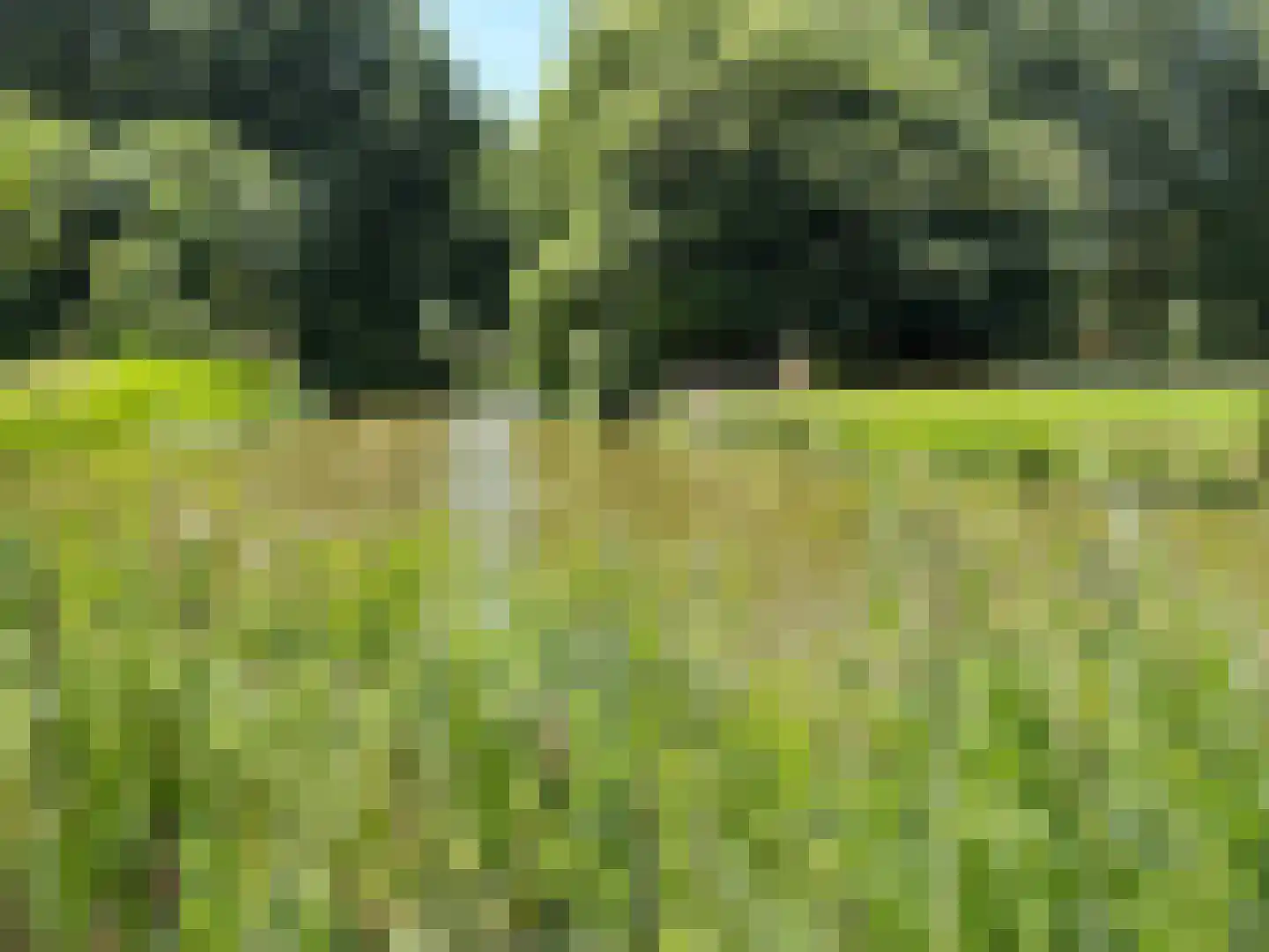 De Terp 23 Witmarsum thumbnail 11
