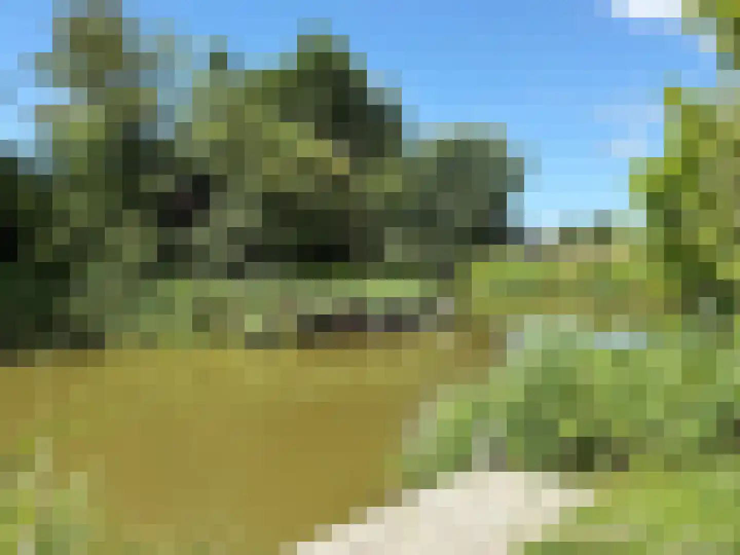 De Terp 23 Witmarsum thumbnail 12