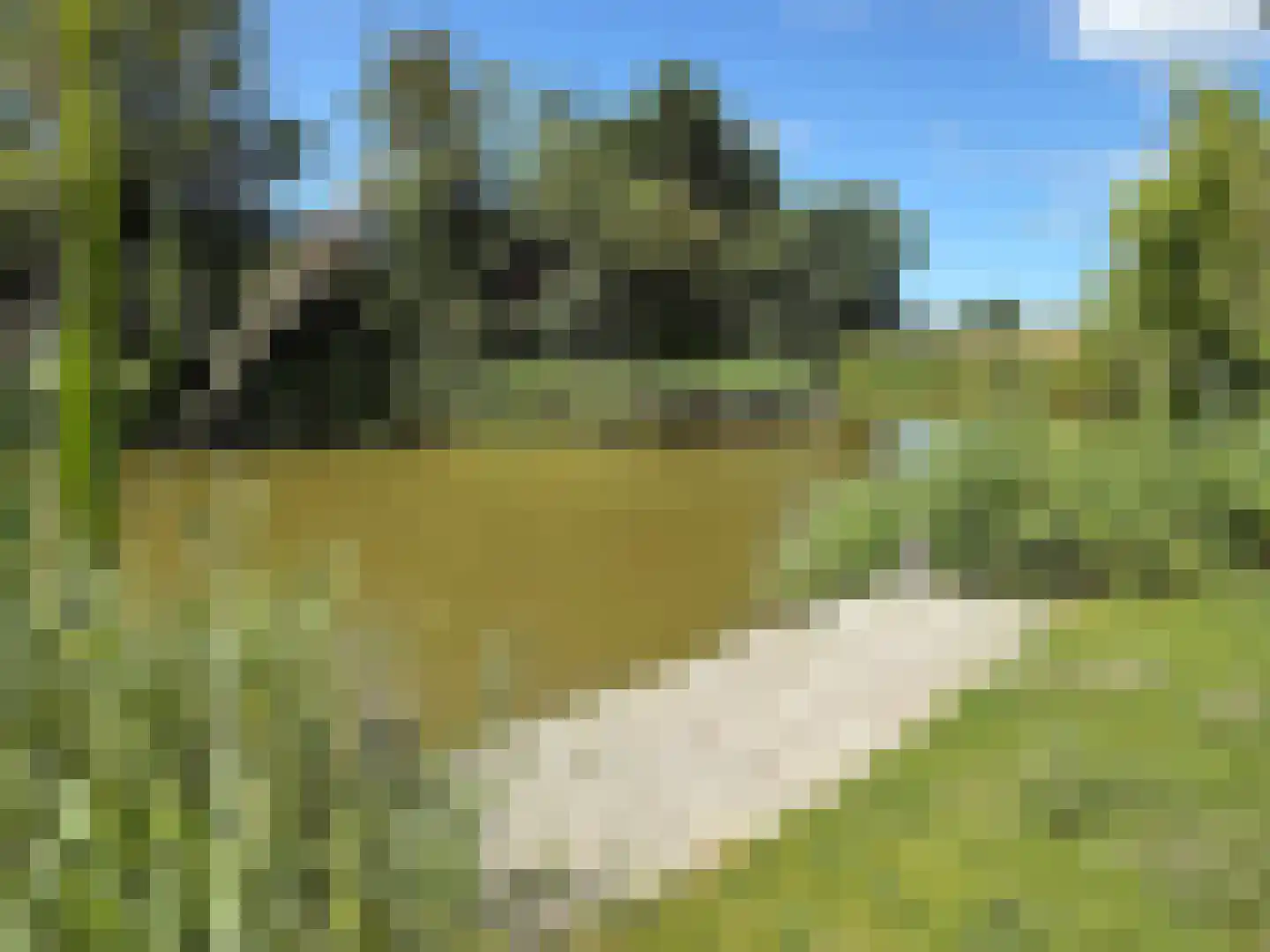 De Terp 23 Witmarsum thumbnail 14