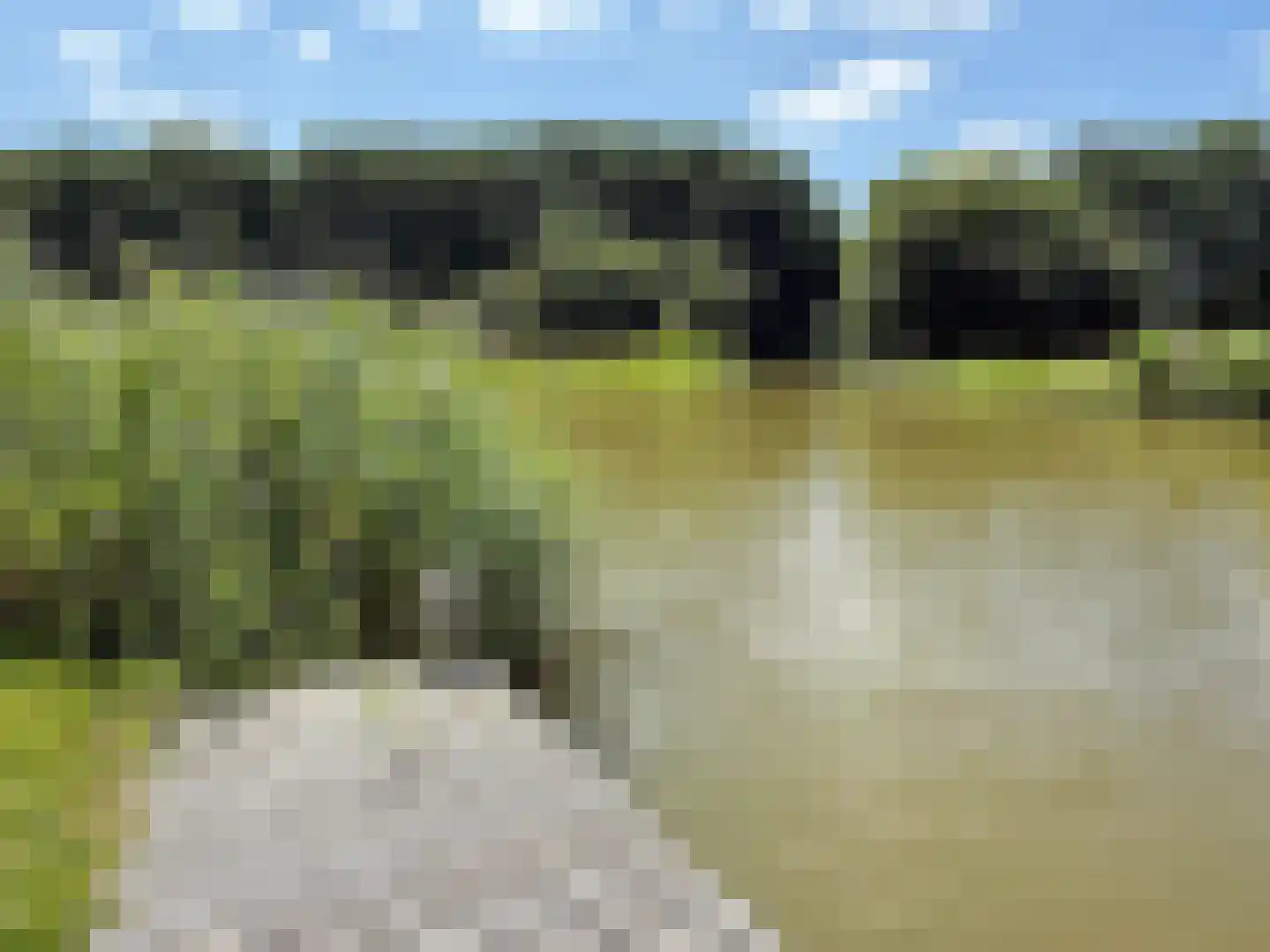 De Terp 23 Witmarsum thumbnail 15