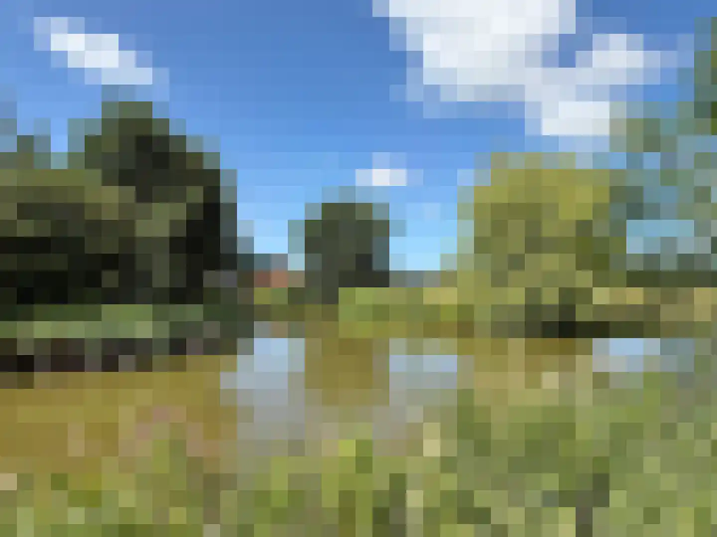 De Terp 23 Witmarsum thumbnail 17