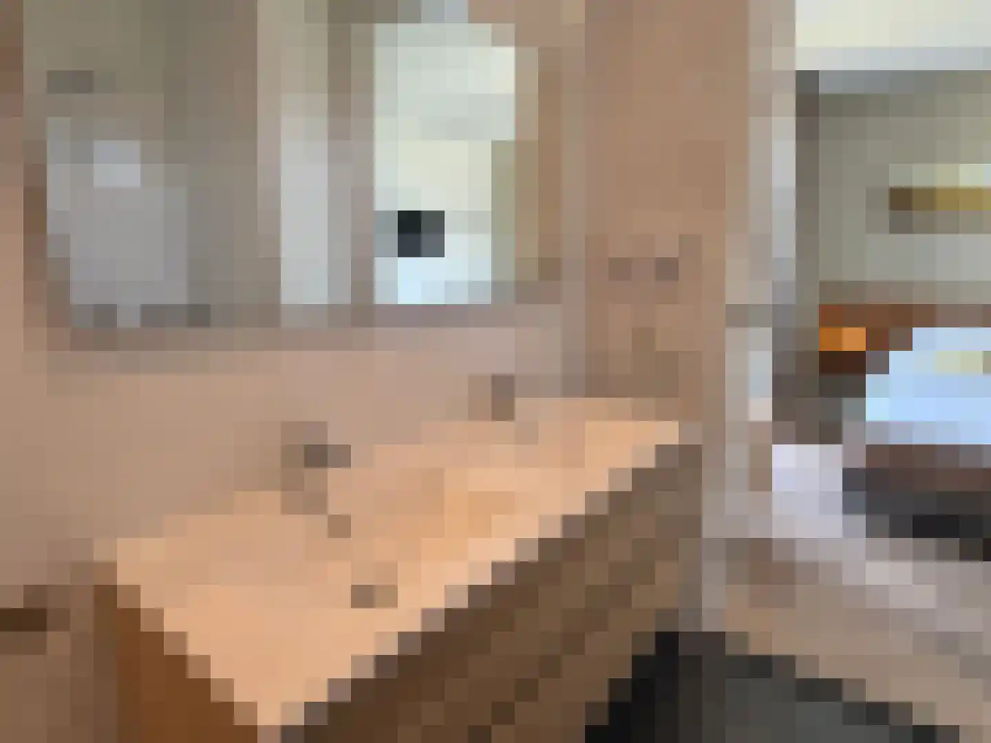 De Terp 23 Witmarsum thumbnail 30