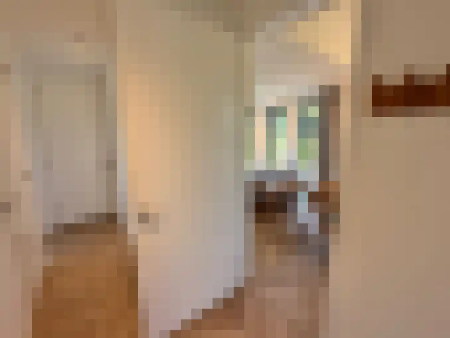 De Terp 23 Witmarsum thumbnail 31