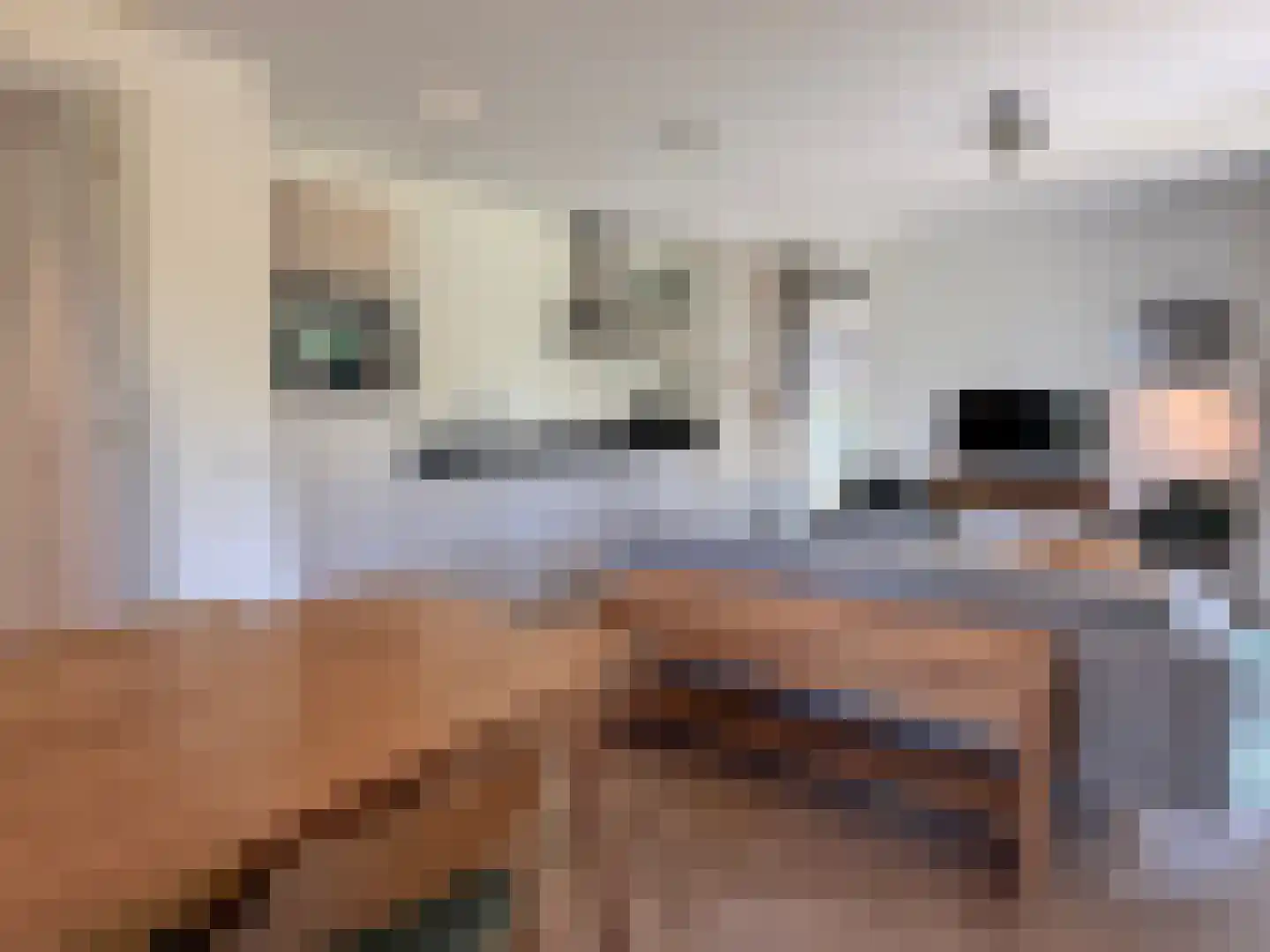 De Terp 23 Witmarsum thumbnail 40