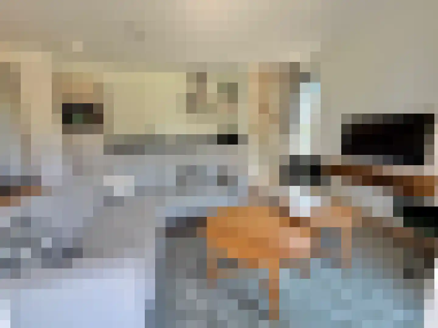 De Terp 23 Witmarsum thumbnail 41