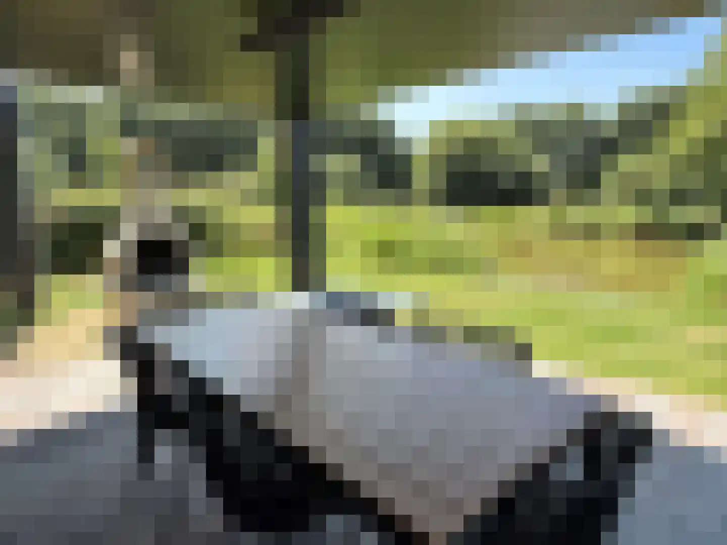 De Terp 23 Witmarsum thumbnail 43
