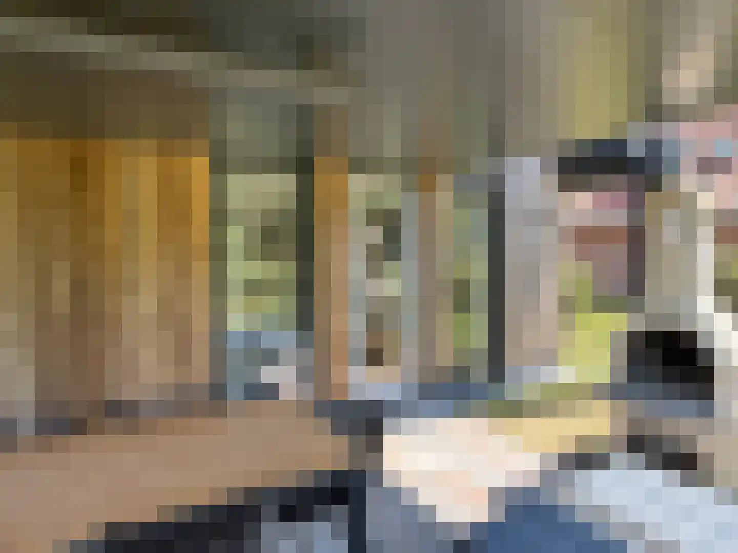 De Terp 23 Witmarsum thumbnail 44
