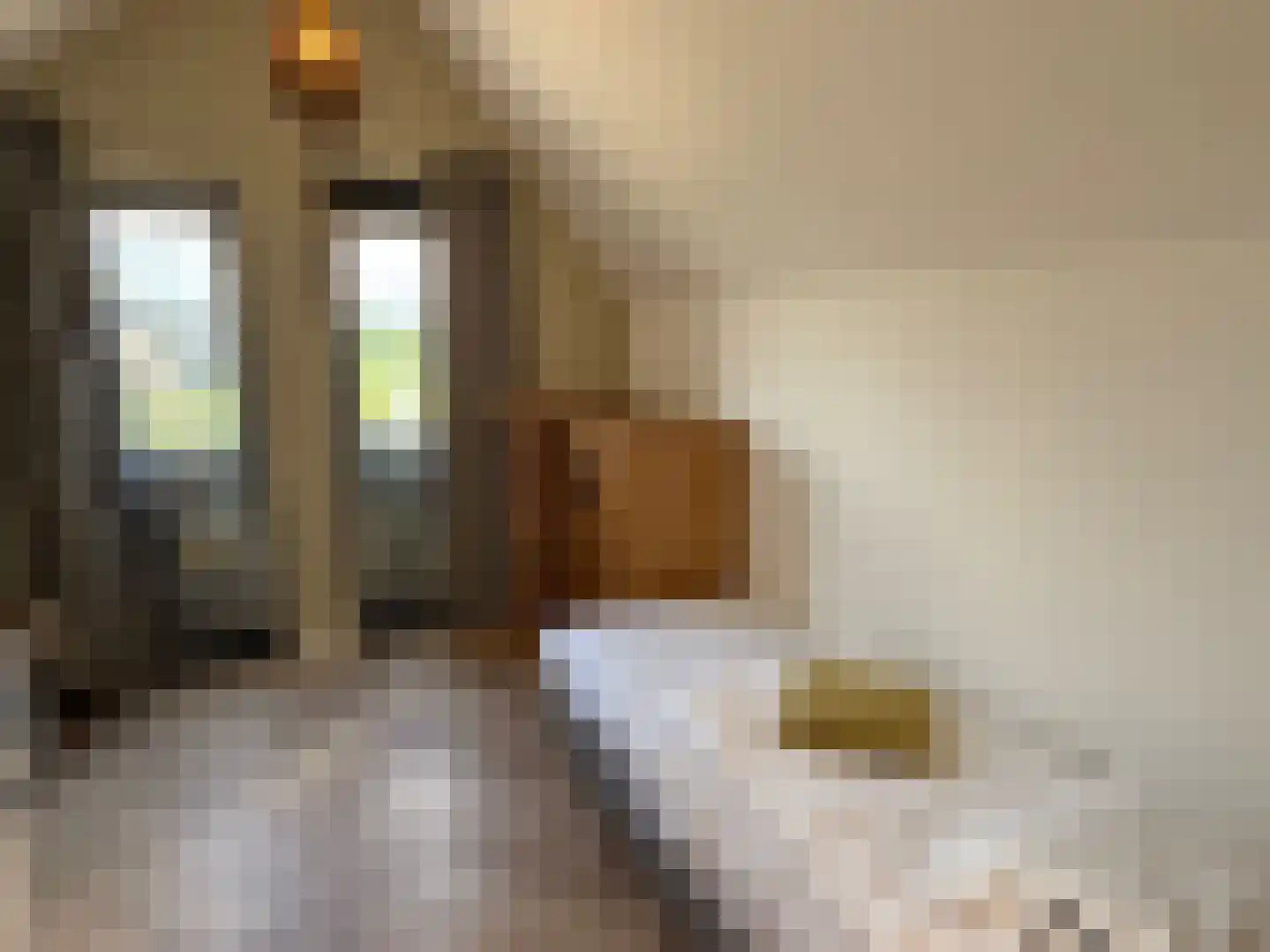 De Terp 23 Witmarsum thumbnail 48
