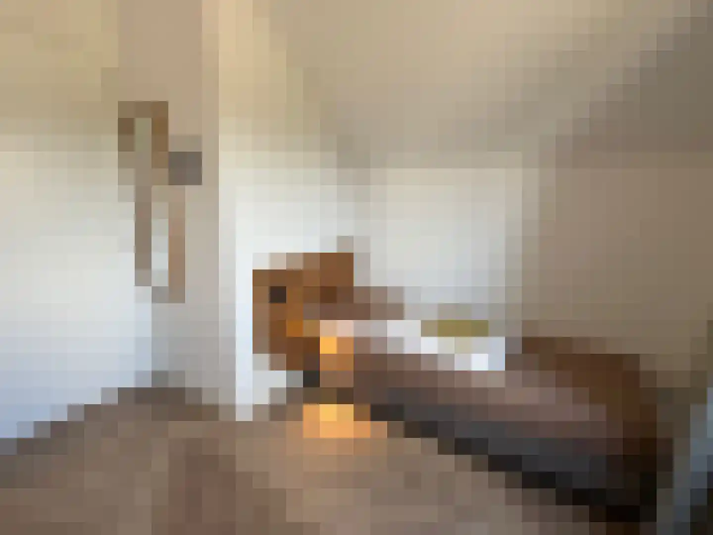 De Terp 23 Witmarsum thumbnail 51
