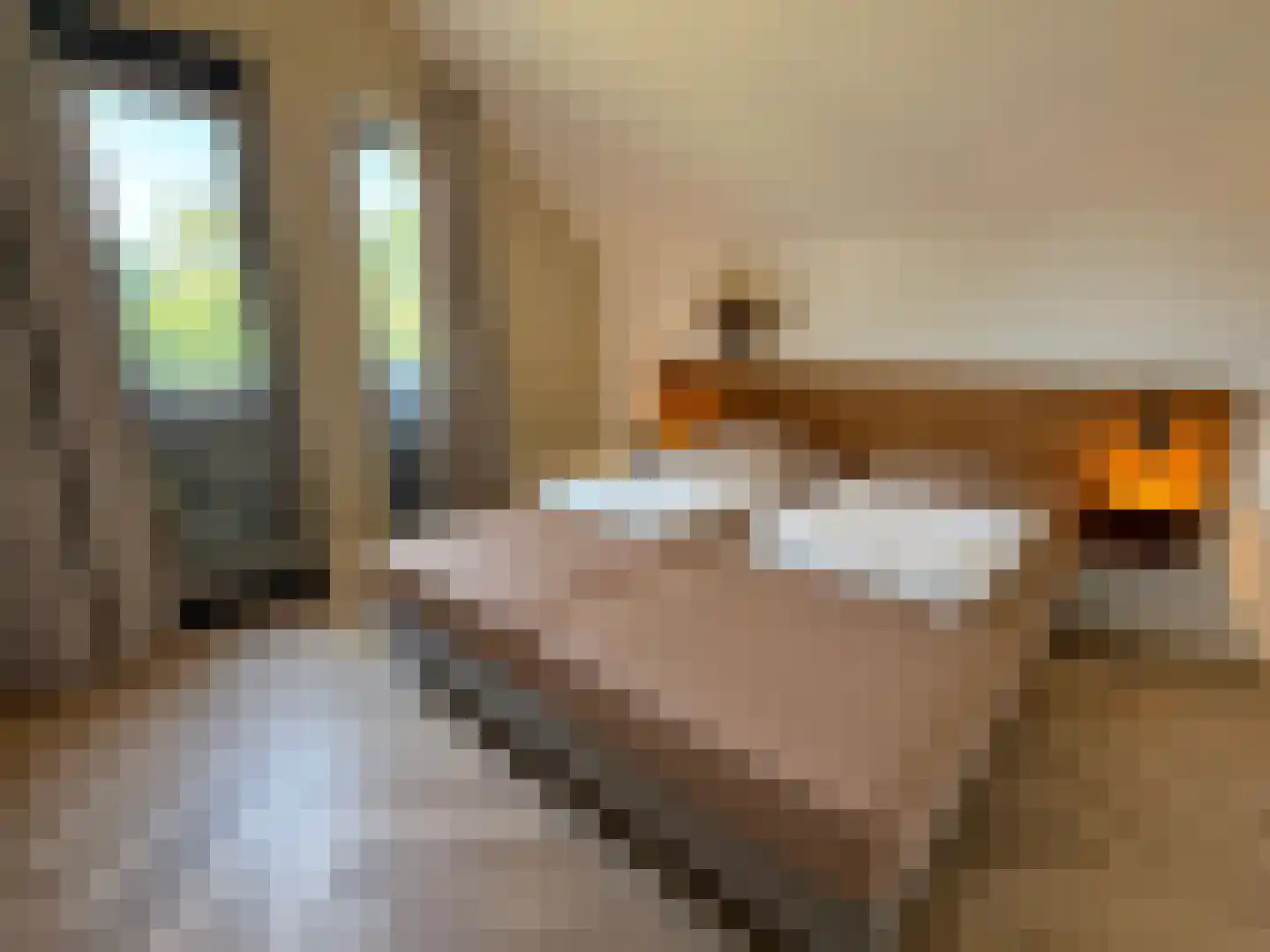 De Terp 23 Witmarsum thumbnail 58