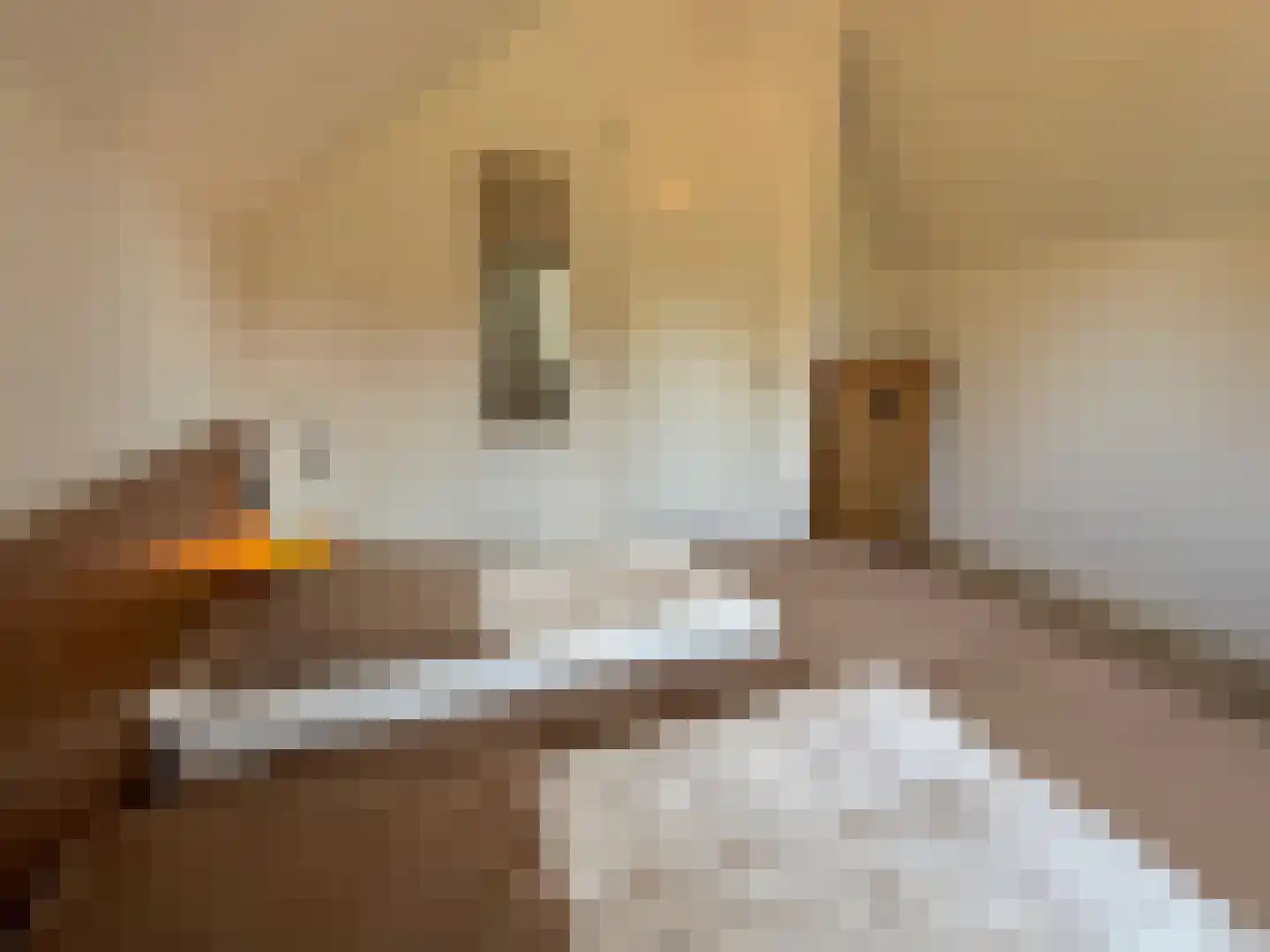 De Terp 23 Witmarsum thumbnail 60