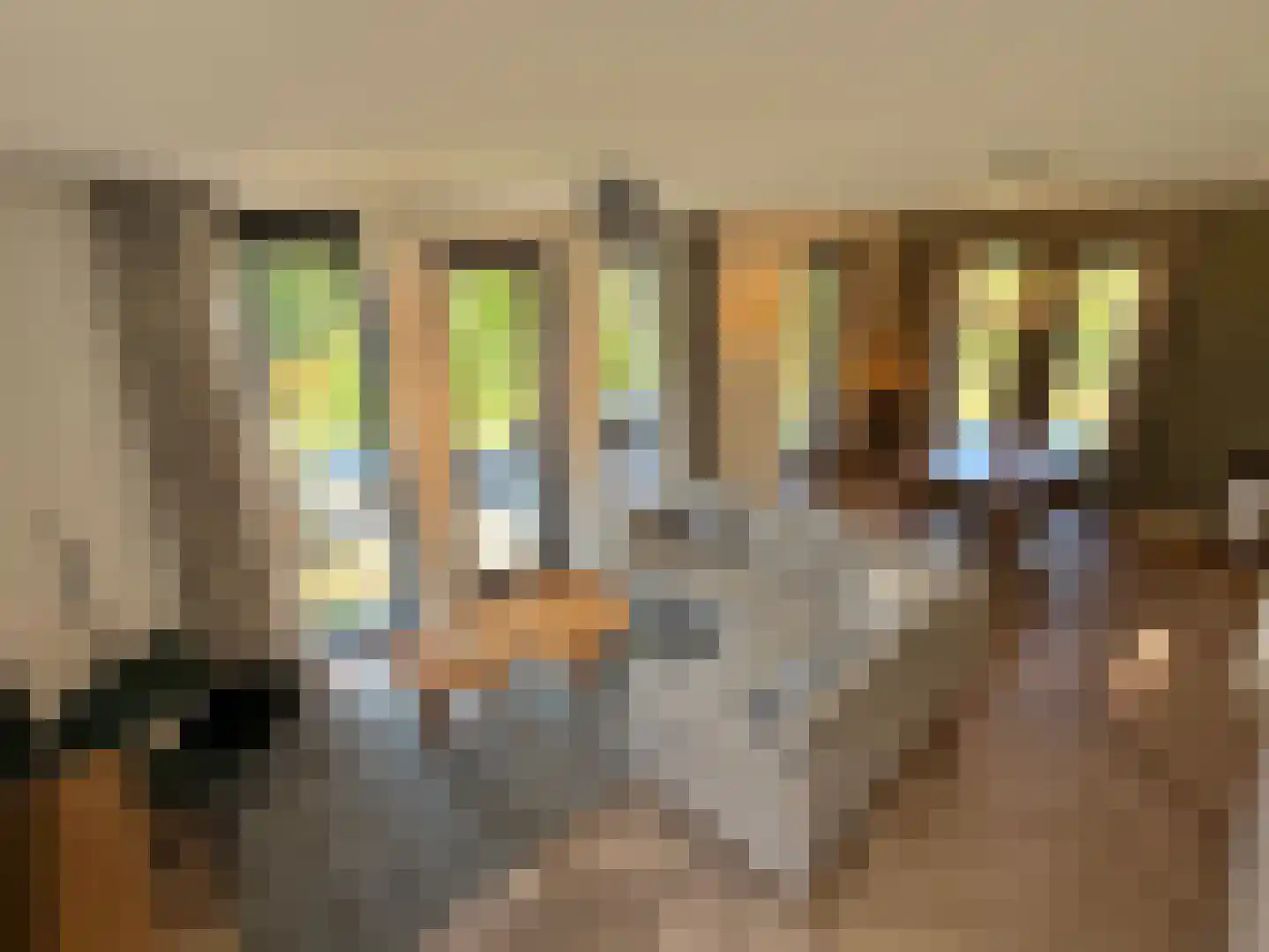 De Terp 23 Witmarsum thumbnail 63