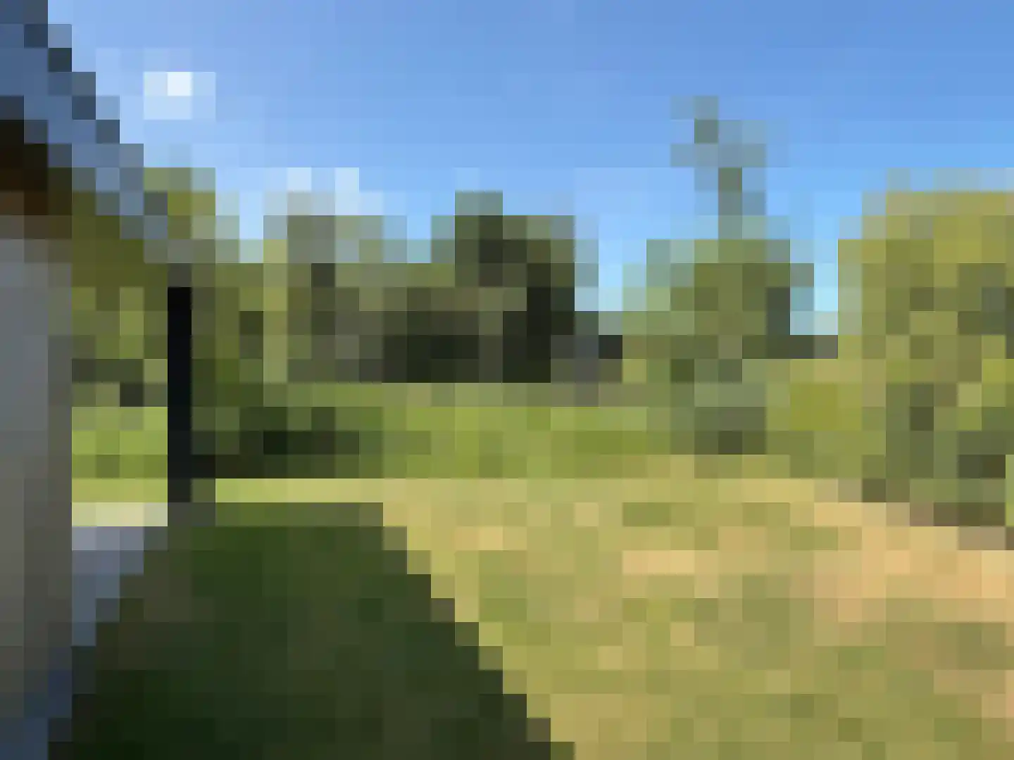De Terp 23 Witmarsum thumbnail 64