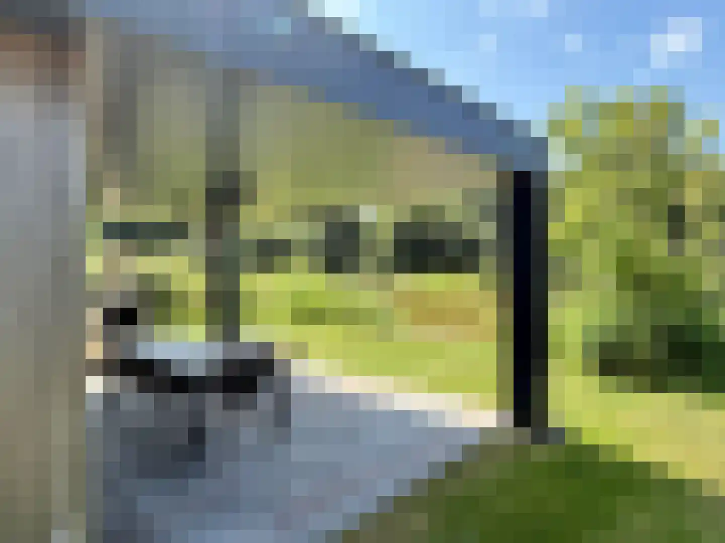 De Terp 23 Witmarsum thumbnail 65
