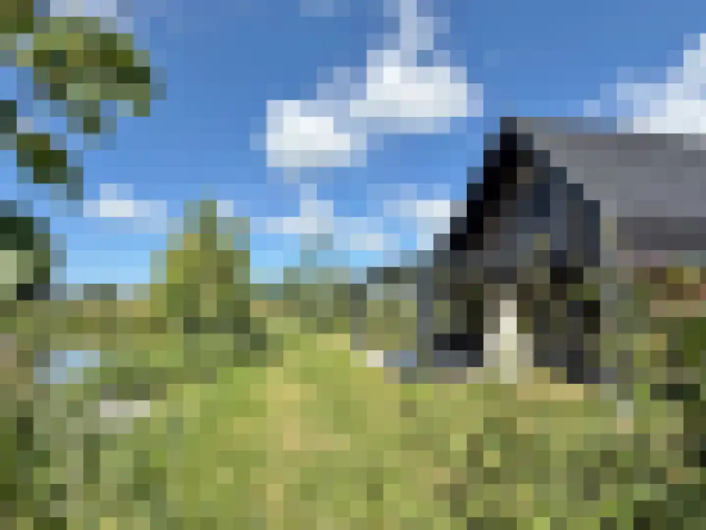 De Terp 23 Witmarsum thumbnail 68
