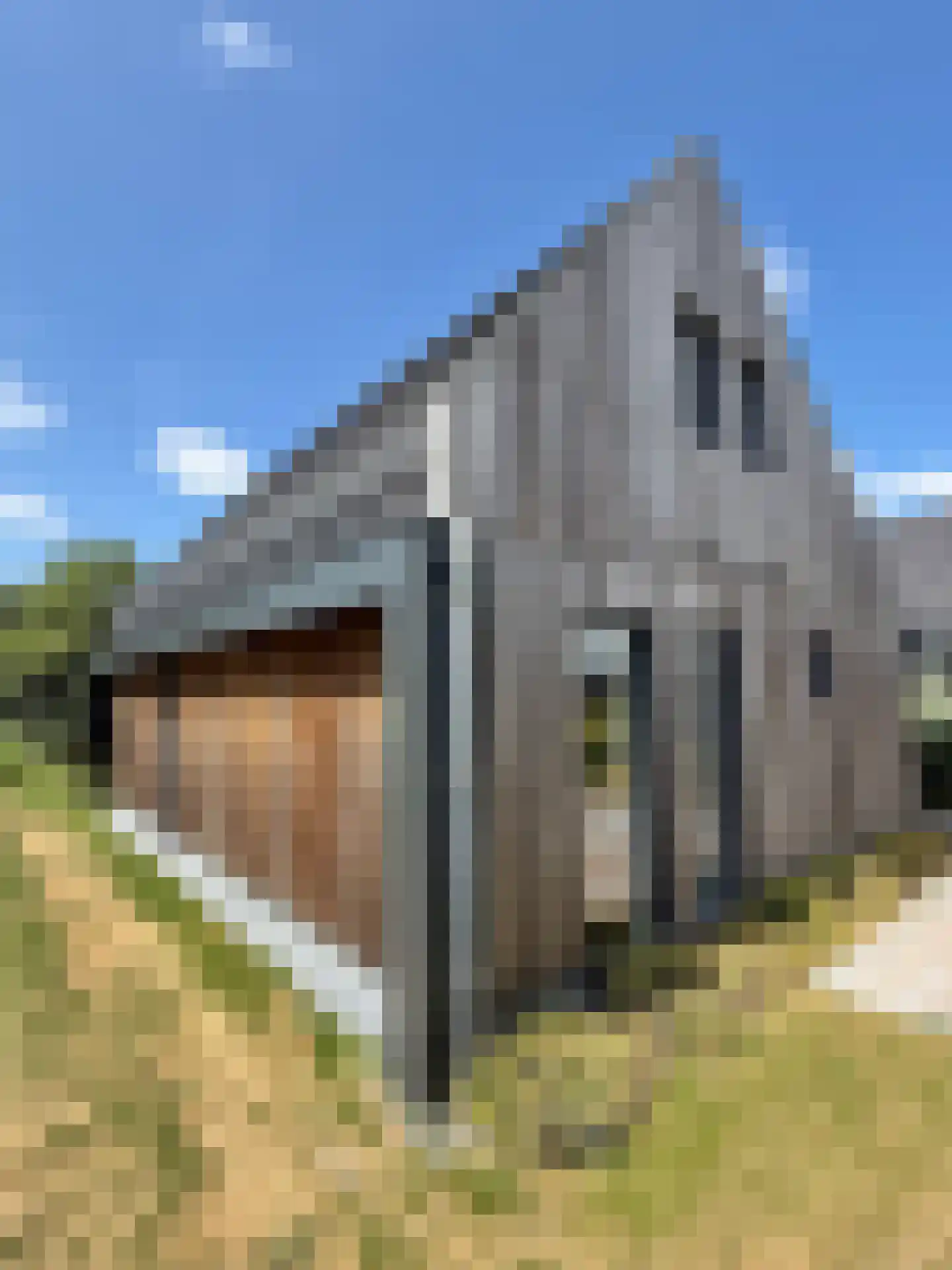 De Terp 23 Witmarsum thumbnail 8