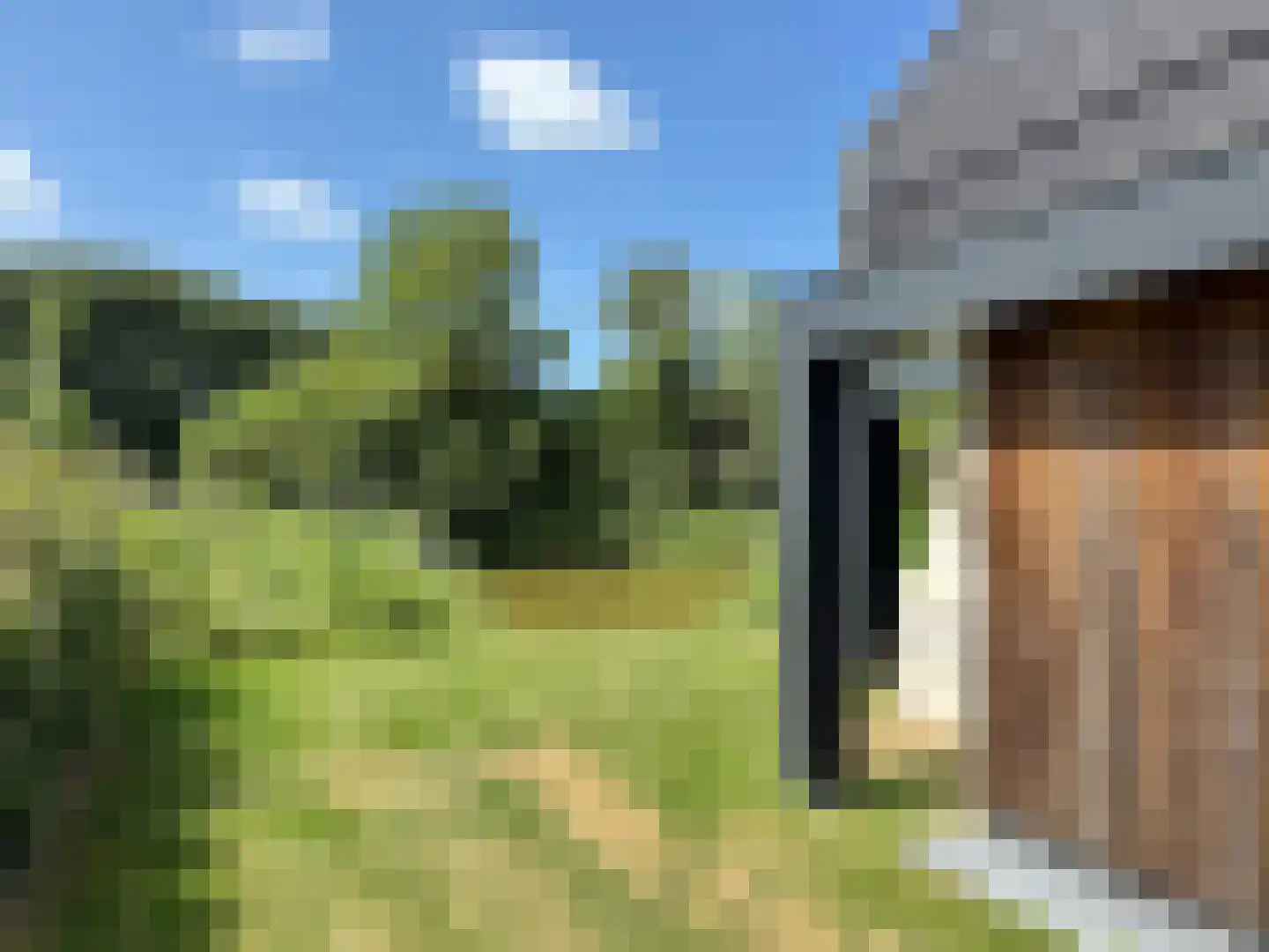 De Terp 23 Witmarsum thumbnail 9