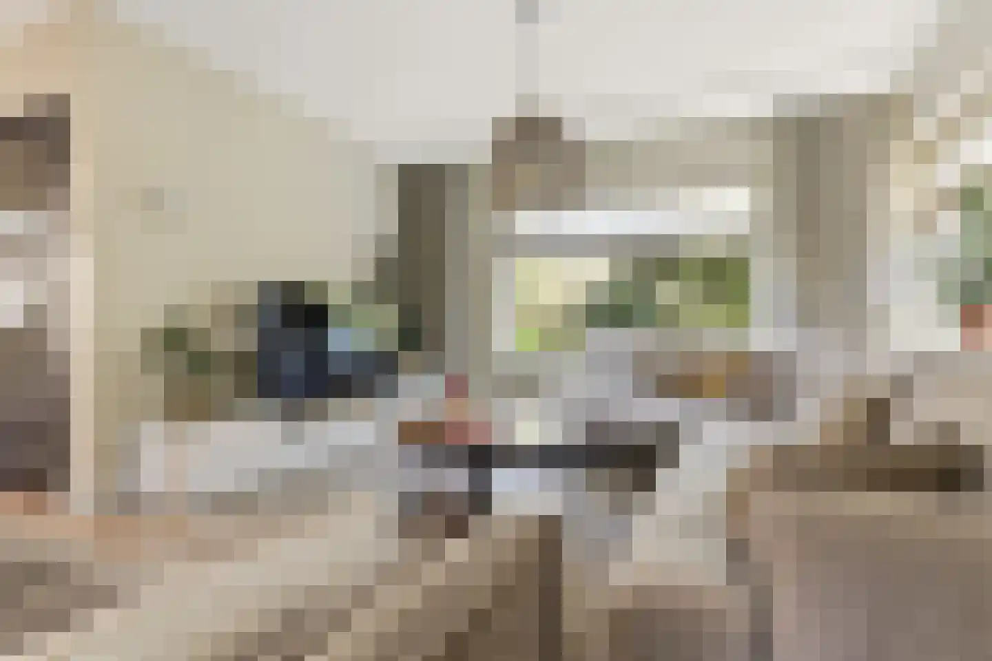 De Terp 24 a Uitgeest thumbnail 11