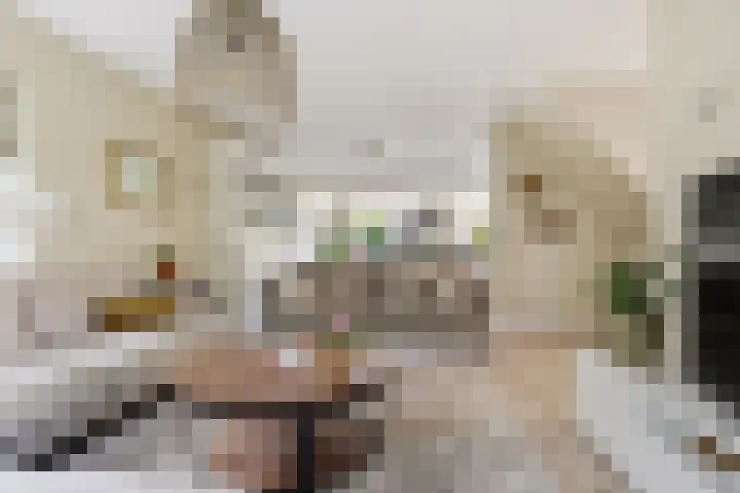De Terp 24 a Uitgeest thumbnail 12