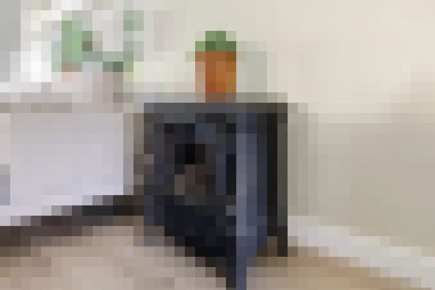 De Terp 24 a Uitgeest thumbnail 15
