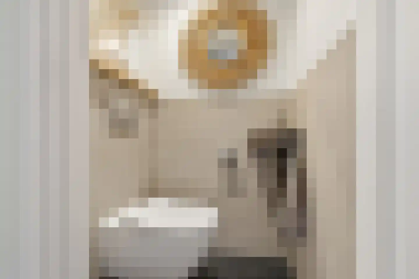 De Terp 24 a Uitgeest thumbnail 24