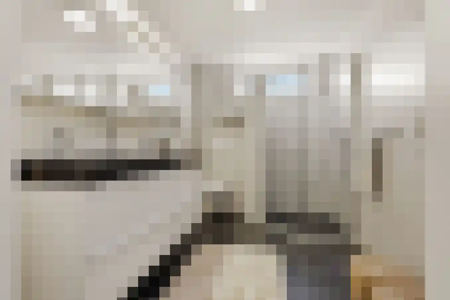 De Terp 24 a Uitgeest thumbnail 33