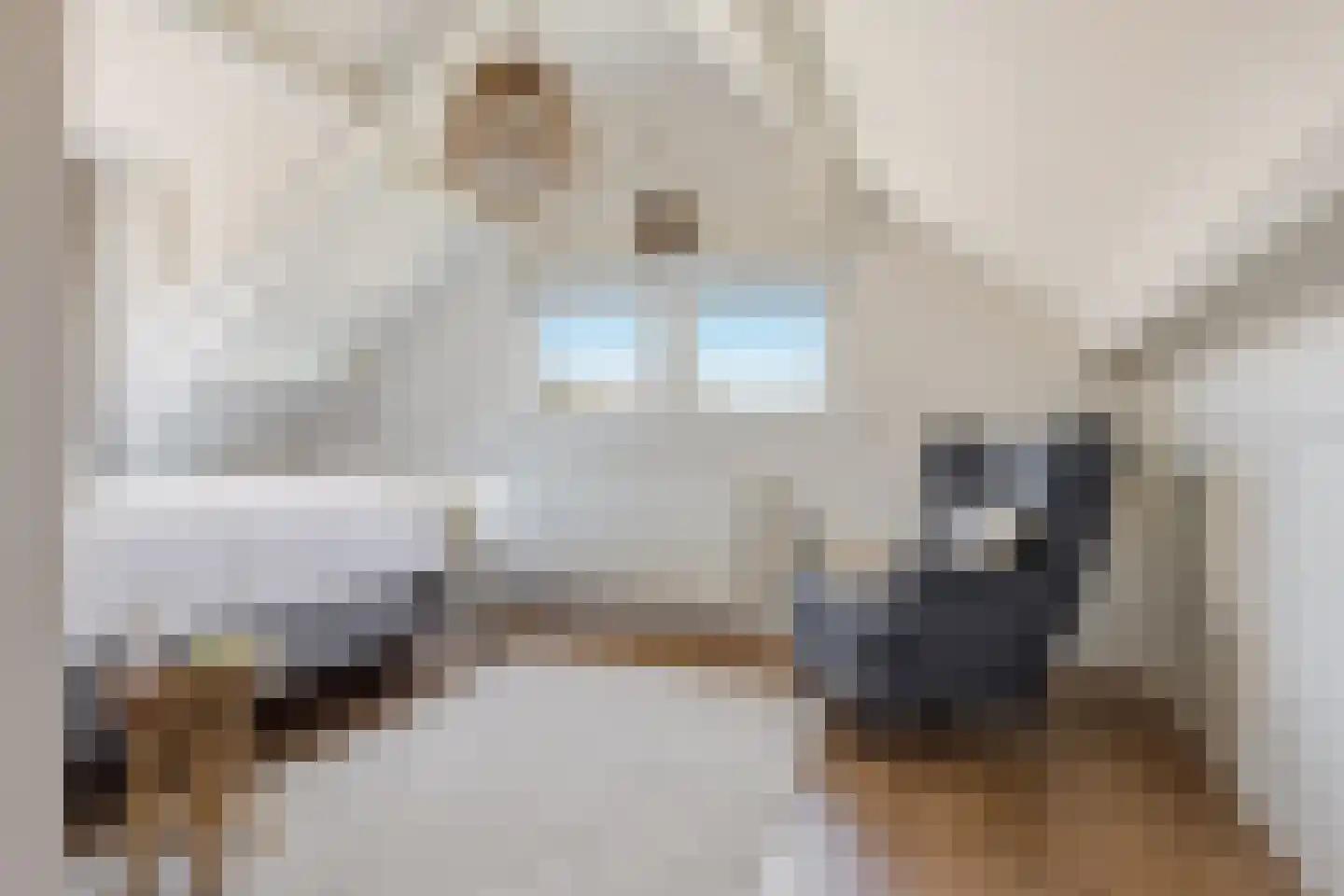 De Terp 24 a Uitgeest thumbnail 39