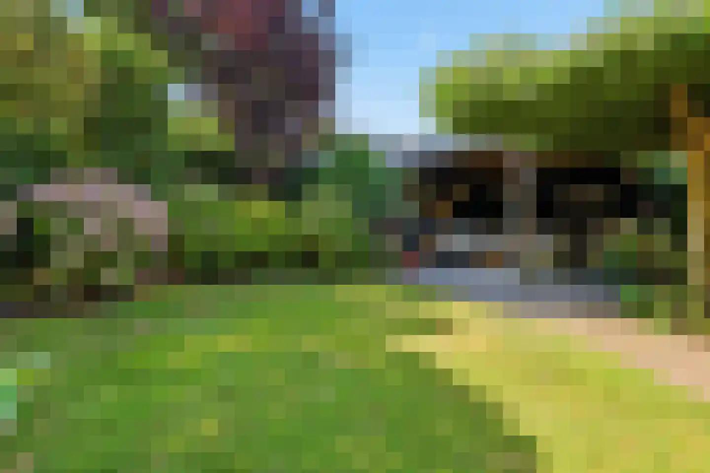 De Terp 24 a Uitgeest thumbnail 47