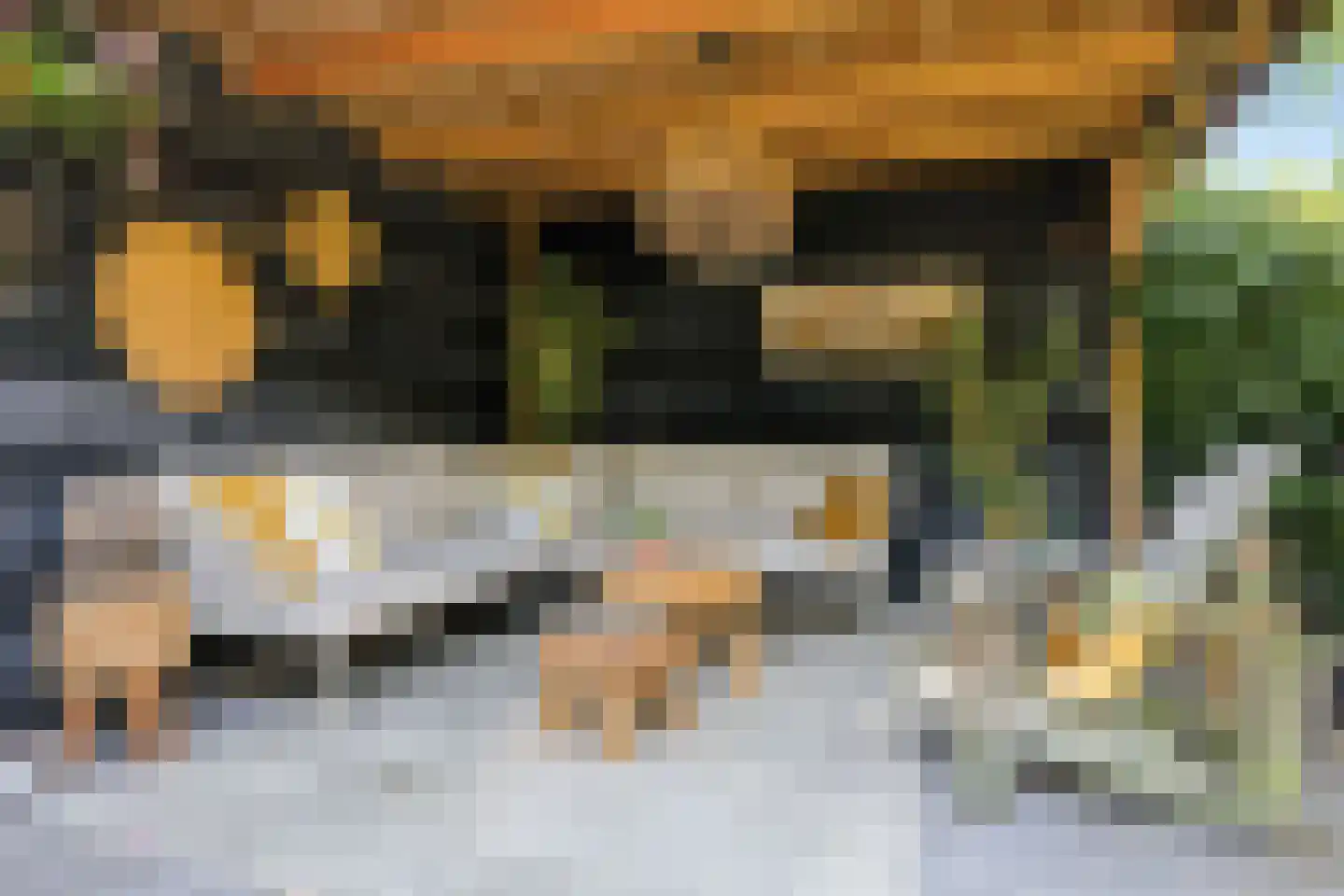 De Terp 24 a Uitgeest thumbnail 49