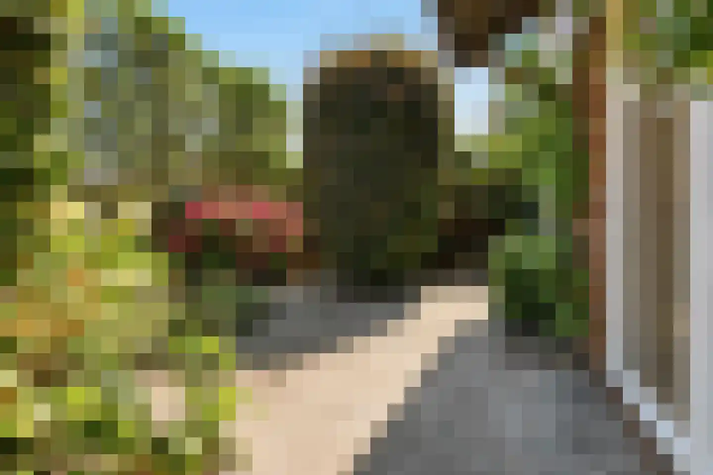 De Terp 24 a Uitgeest thumbnail 8