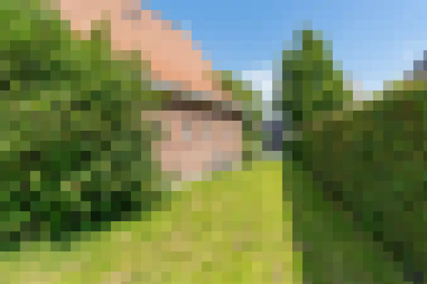 De Terp 24 Witmarsum thumbnail 13