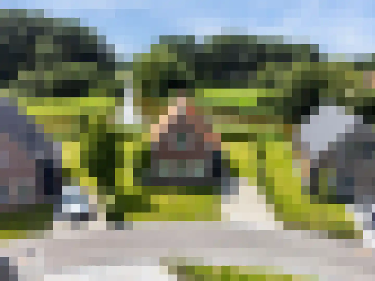 De Terp 24 Witmarsum thumbnail 15