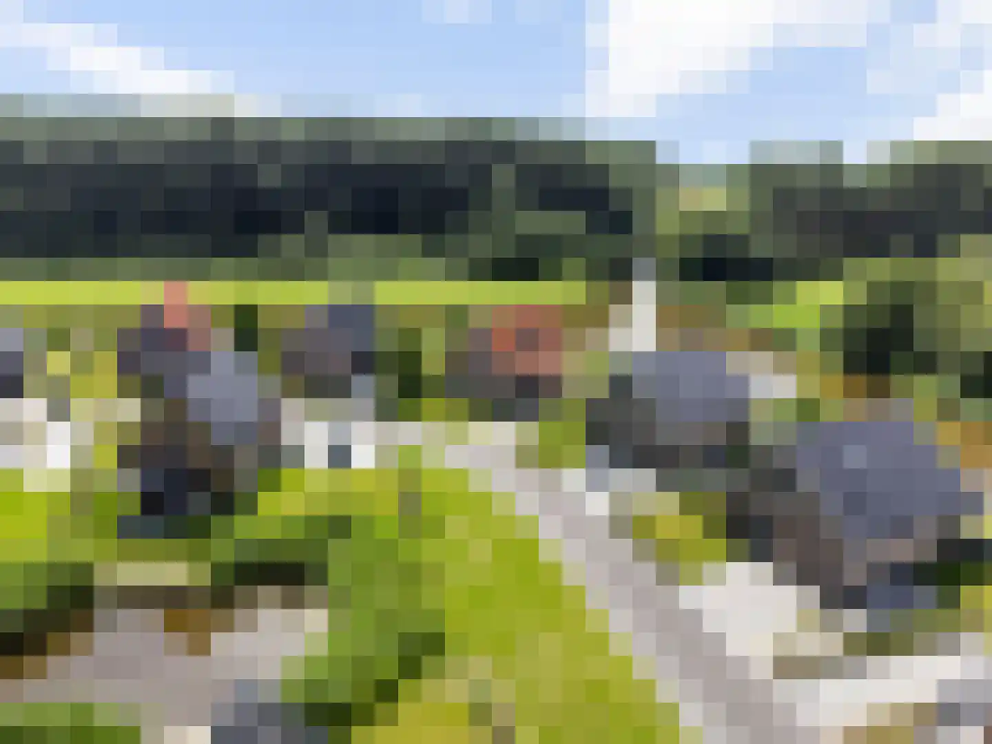 De Terp 24 Witmarsum thumbnail 17