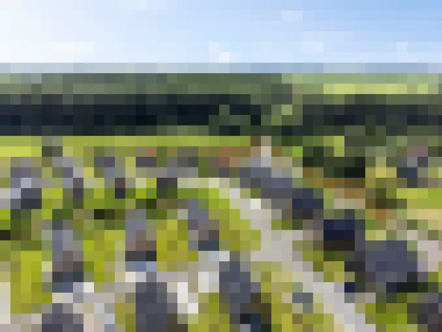 De Terp 24 Witmarsum thumbnail 18