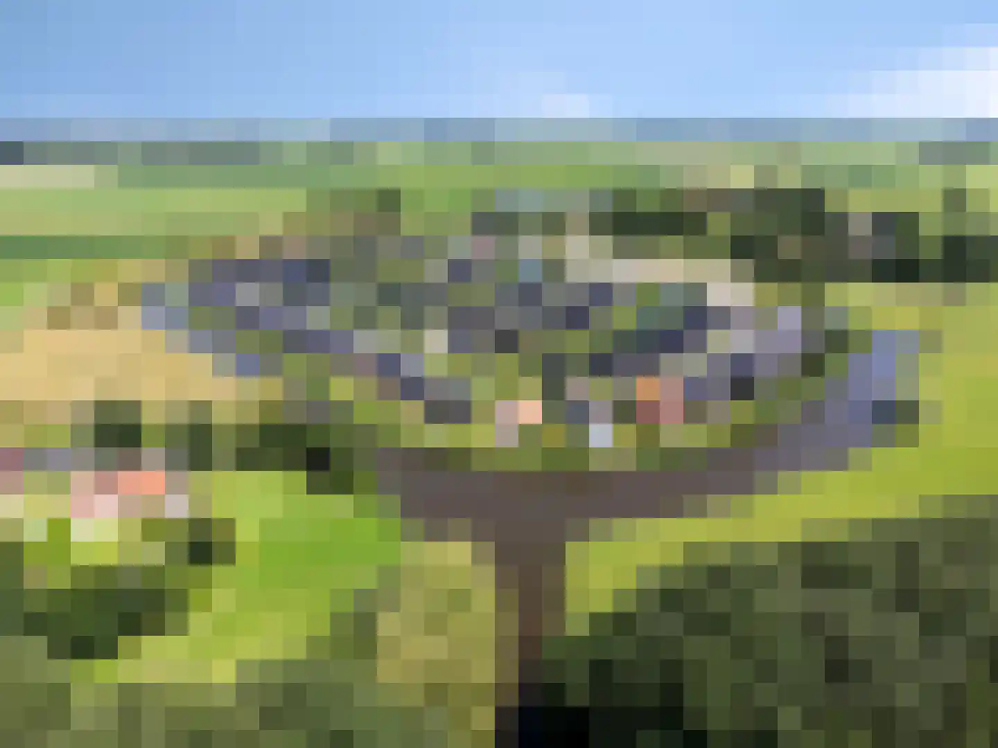 De Terp 24 Witmarsum thumbnail 19