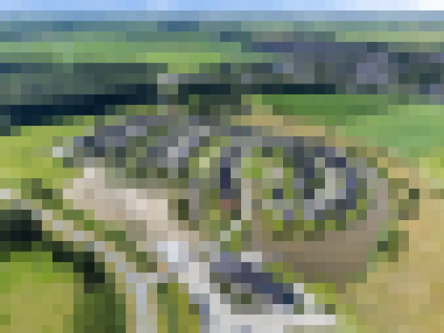De Terp 24 Witmarsum thumbnail 21